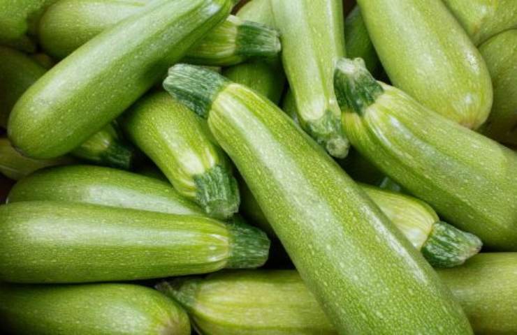 brochettes courgettes crescenza