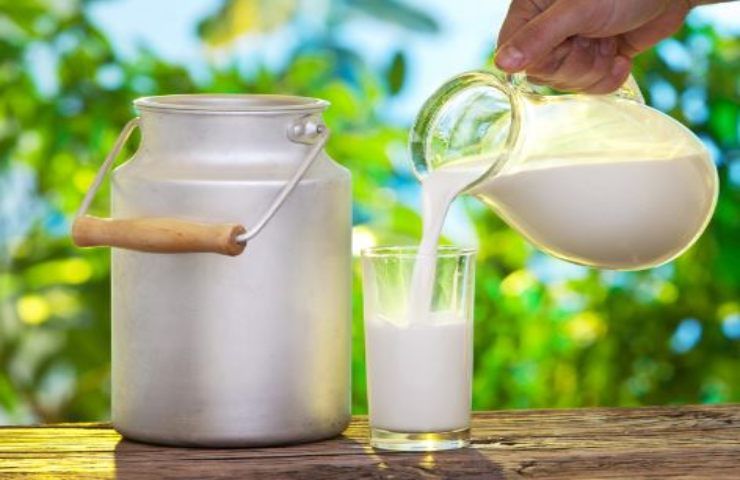 dessert crémeux au lait