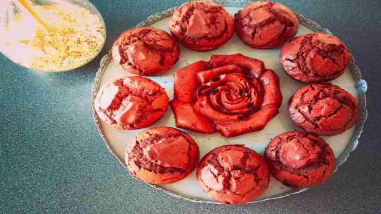 Délicieux Muffin au Cacao : Une Douceur Gourmande à Découvrir